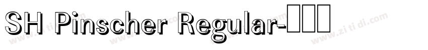 SH Pinscher Regular字体转换
